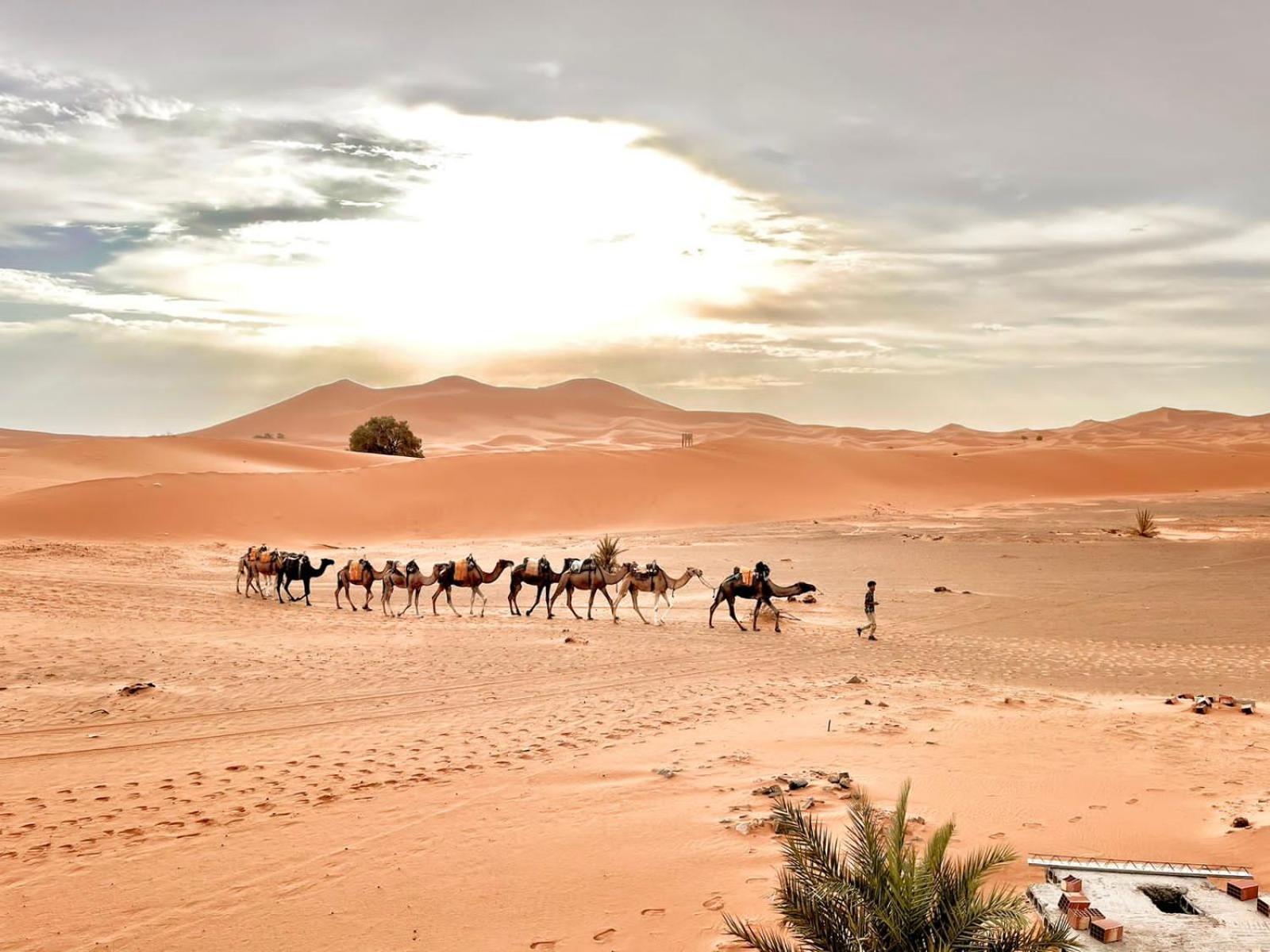 Auberge Ksar مرزوكة المظهر الخارجي الصورة