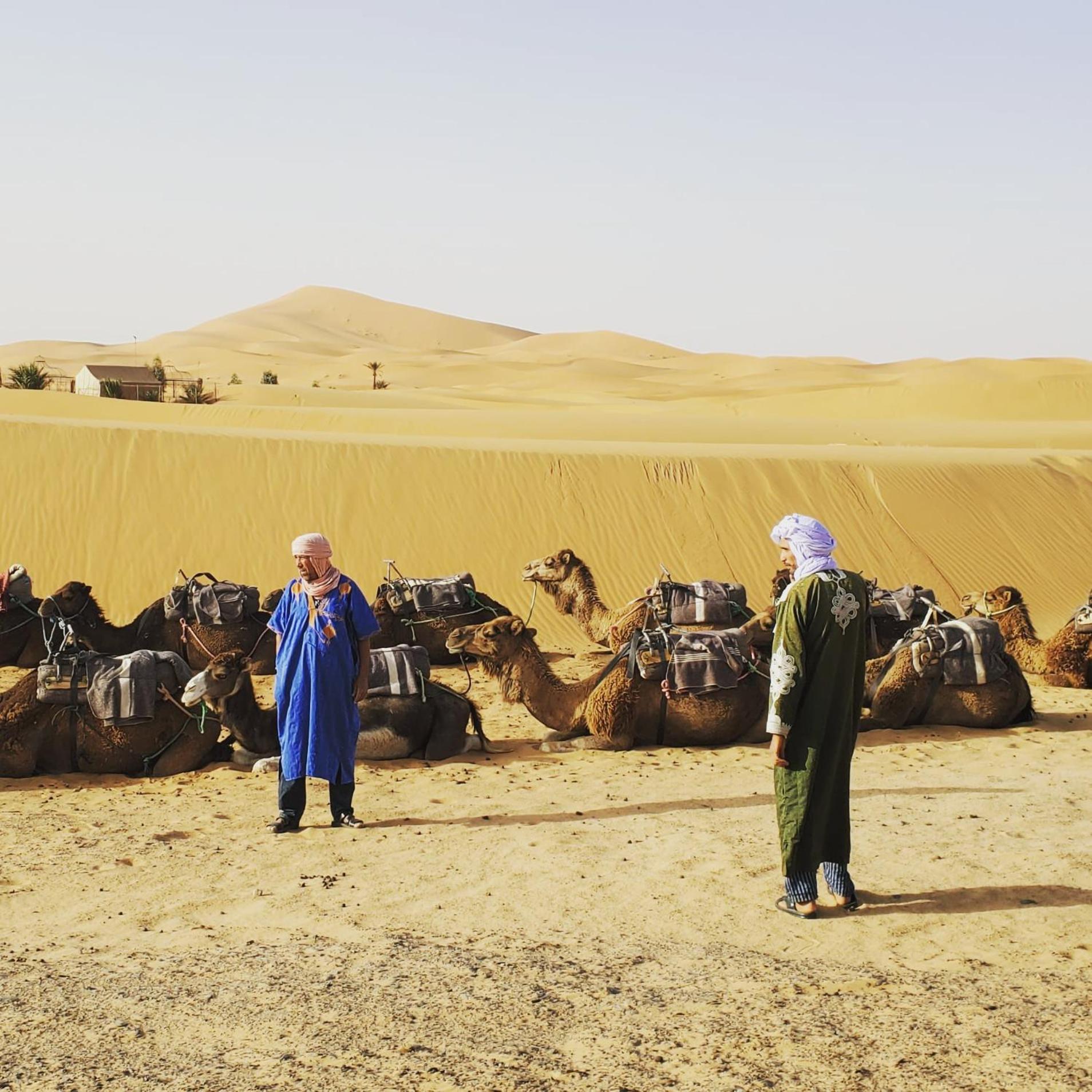 Auberge Ksar مرزوكة المظهر الخارجي الصورة
